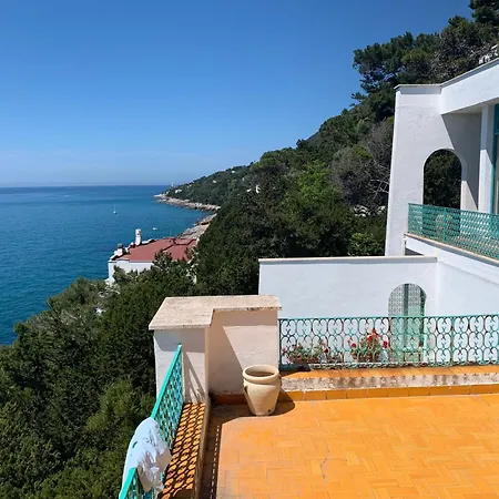 Shulman Villa *